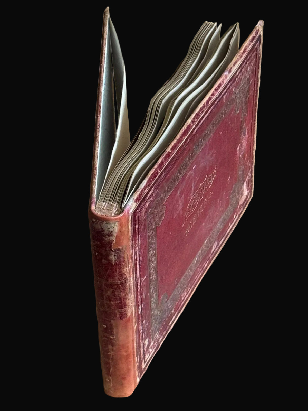 Complete 1870s Album of New Zealand Photographs by Robert Bartlett - Auckland panorama, Pink and White terraces, Māori King Tāwhiao