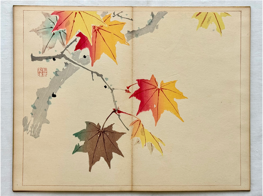 A beautiful set of images depicting traditional Japanese landscapes, birds and flowers by Taki Katei