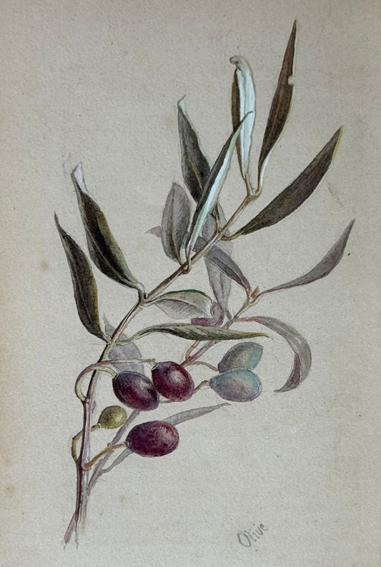 "Sketches of Lago Maggiore and Pallanza" - 1879 - Bound with 17 accomplished watercolours of the Italian lakes by a woman traveller and accompanied by a letter from Queen Victoria's Private secretary