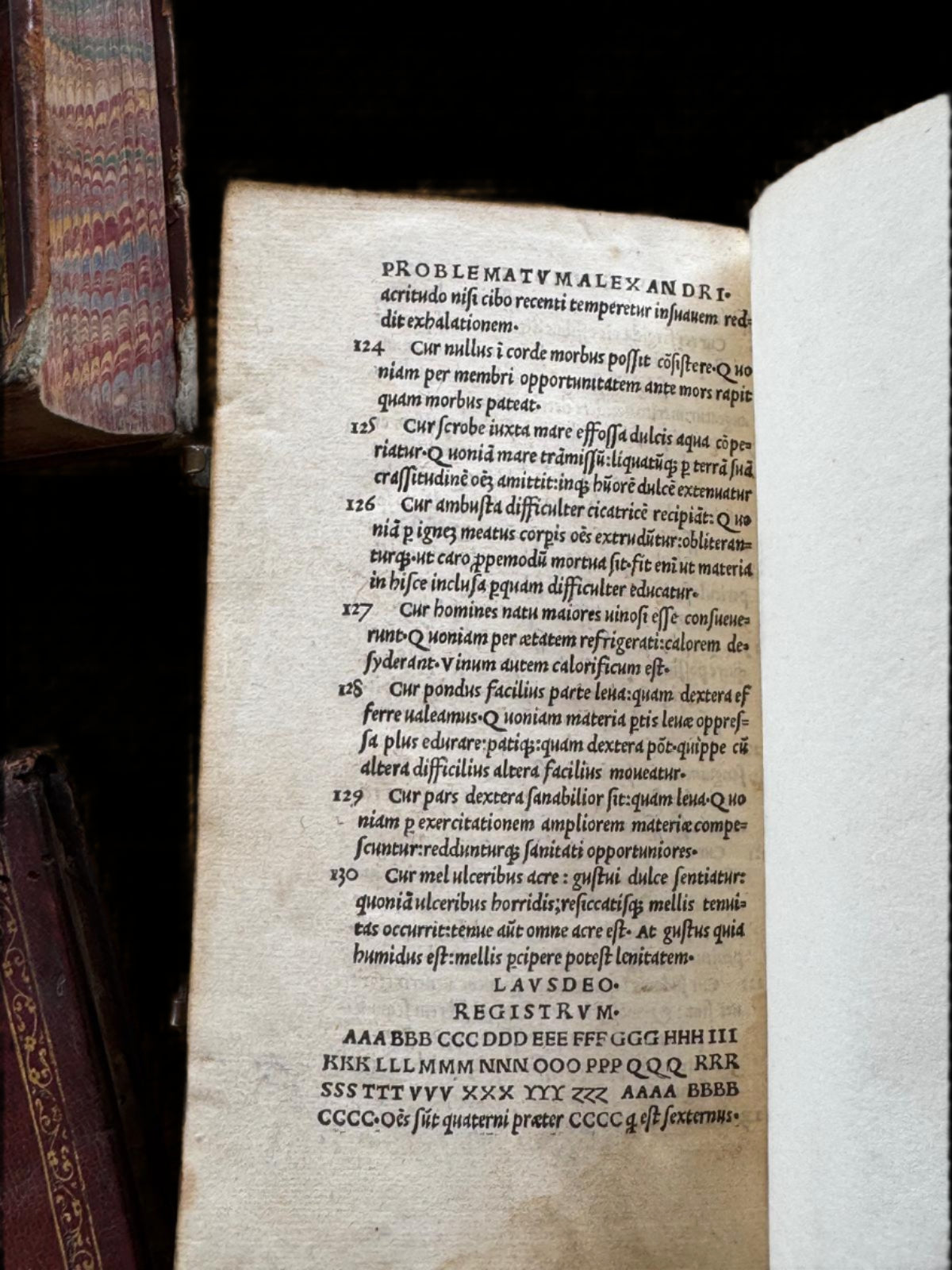 1505 Commentary on Aristotle’s ‘Problemata’ Bound in a Contemporary Bee-Themed Humanist Binding