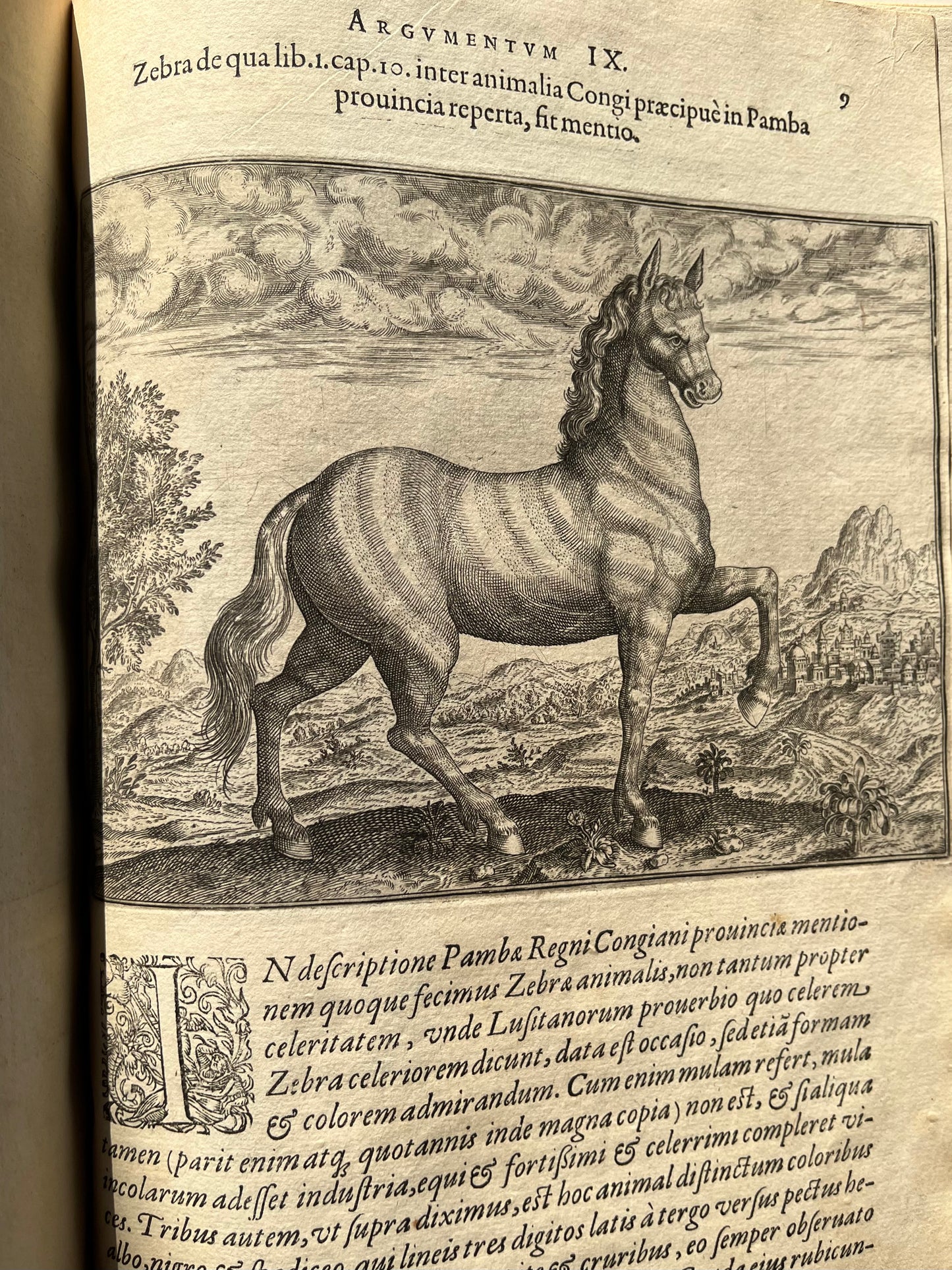 Regnum Congo hoc est Vera descriptio regni Africani, quod tam ab Incolis quam Lusitanis Congus appellatur - Petits Voyages part 1  1598