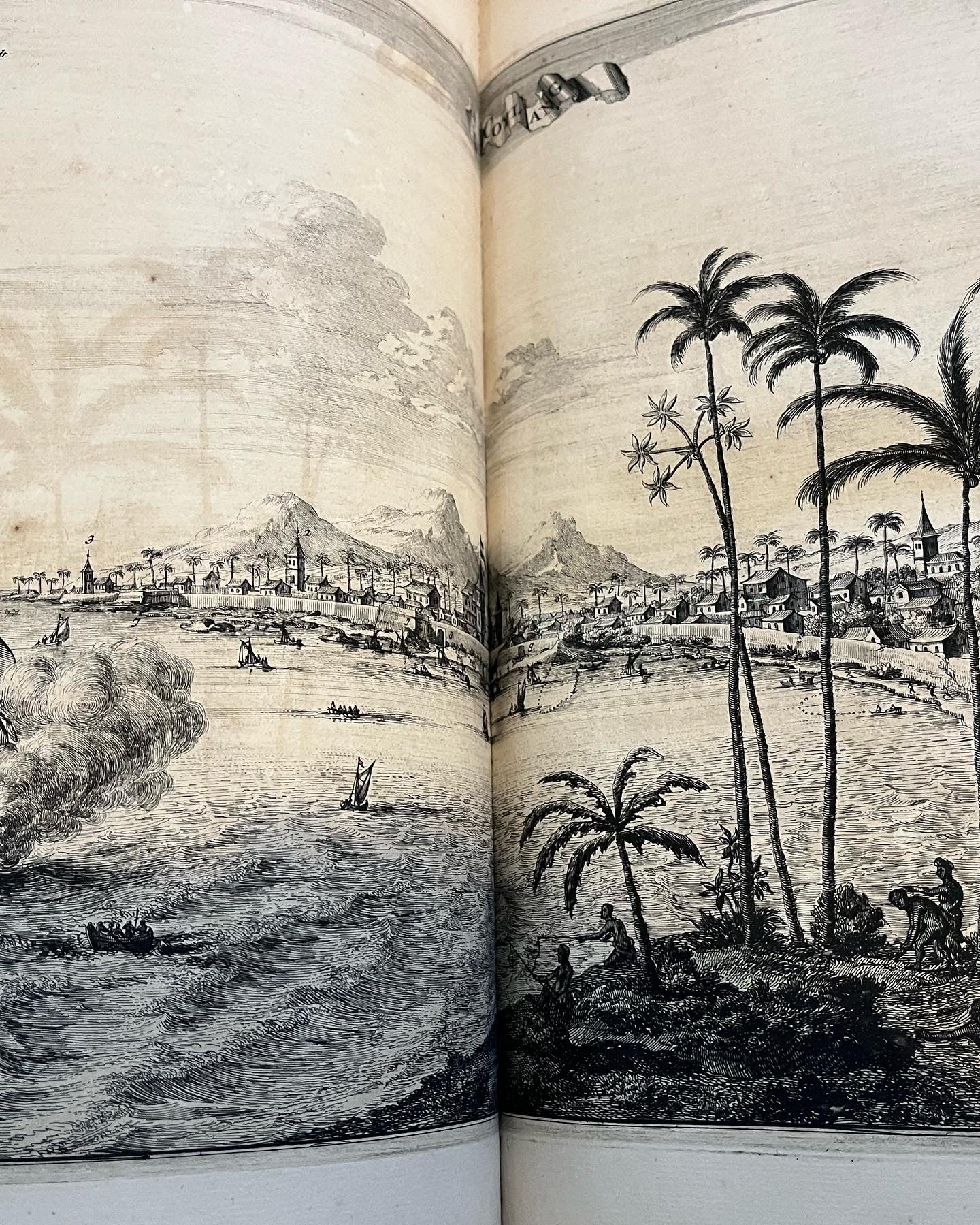 Description of Brazil and the East Indies ""Gedenkwaerige Brasiliaense Zee- en Lant- Reize..." Johan Nieuhof, 1682