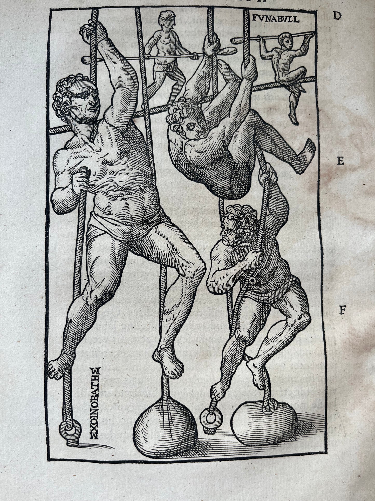 De arte gymnastica, libri sex - Girolamo Mercuriale - 1577