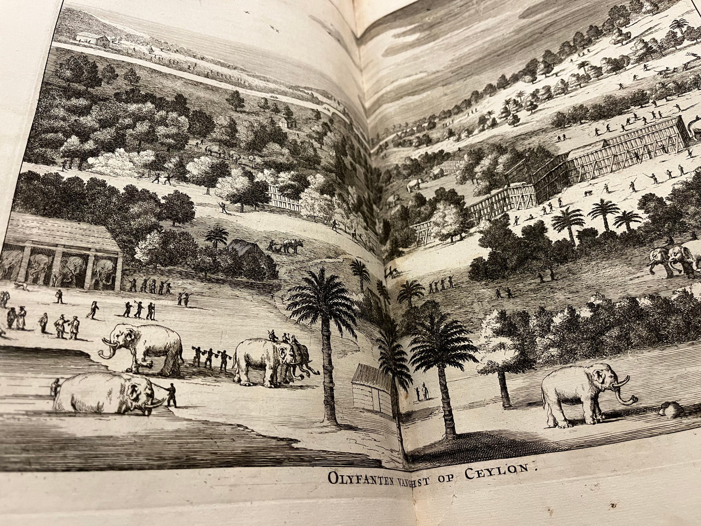 Sri Lanka and India, Baldeus, 1672, Naauwkeurige beschryvinge van Malabar en Coromandel AND Beschryving van het machtige eyland Ceylon.