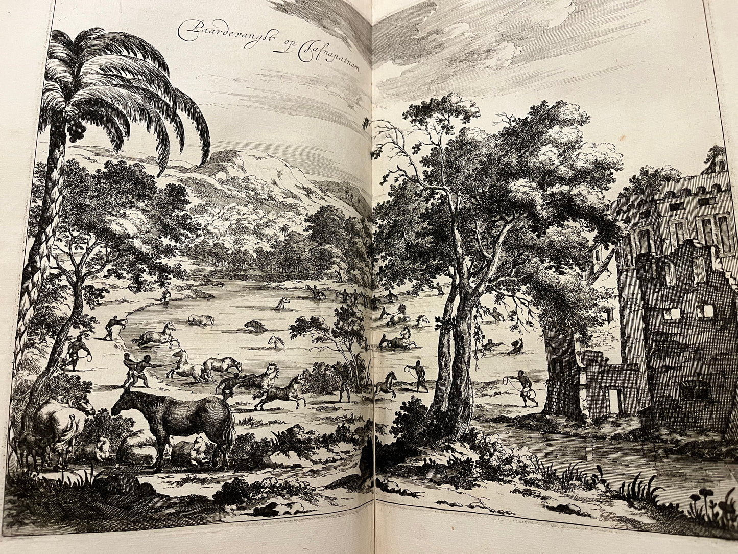 Sri Lanka and India, Baldeus, 1672, Naauwkeurige beschryvinge van Malabar en Coromandel AND Beschryving van het machtige eyland Ceylon.