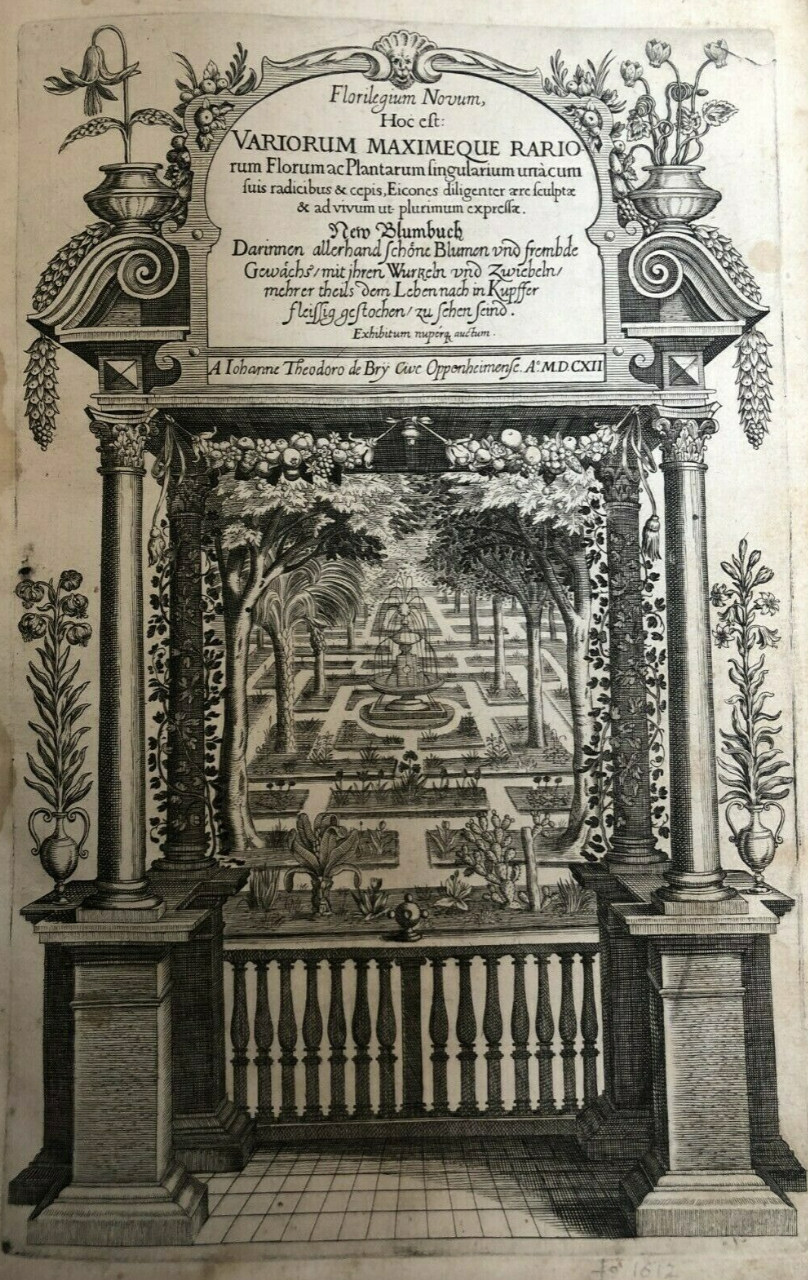 Florilegium Novum, Hoc est: Variorum maximeque rariorum Florum ac Plantarum singulariumunà cum suis radicibus & cepis, Eicones diligenter aere sculptae & ad vivum ut plurimum expressae.